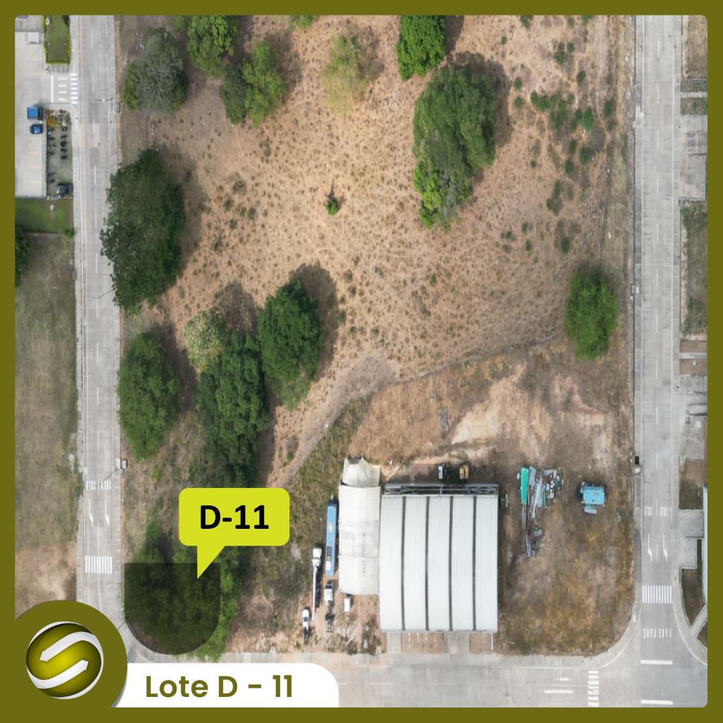 Lote D - 11_2
